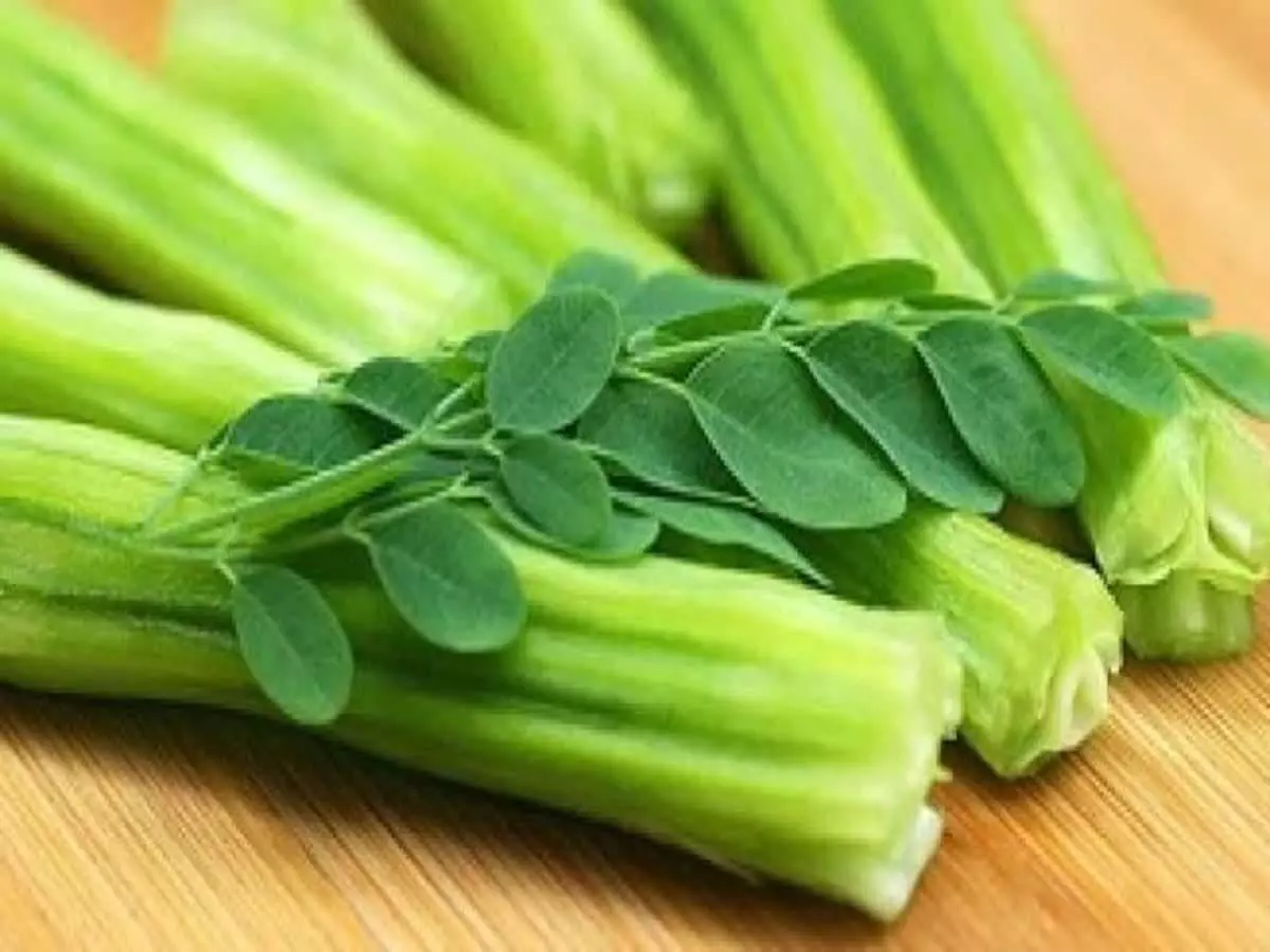 Moringa: मोरिंगा की सब्जी ही नहीं जूस पीने के भी हैं कई फायदे