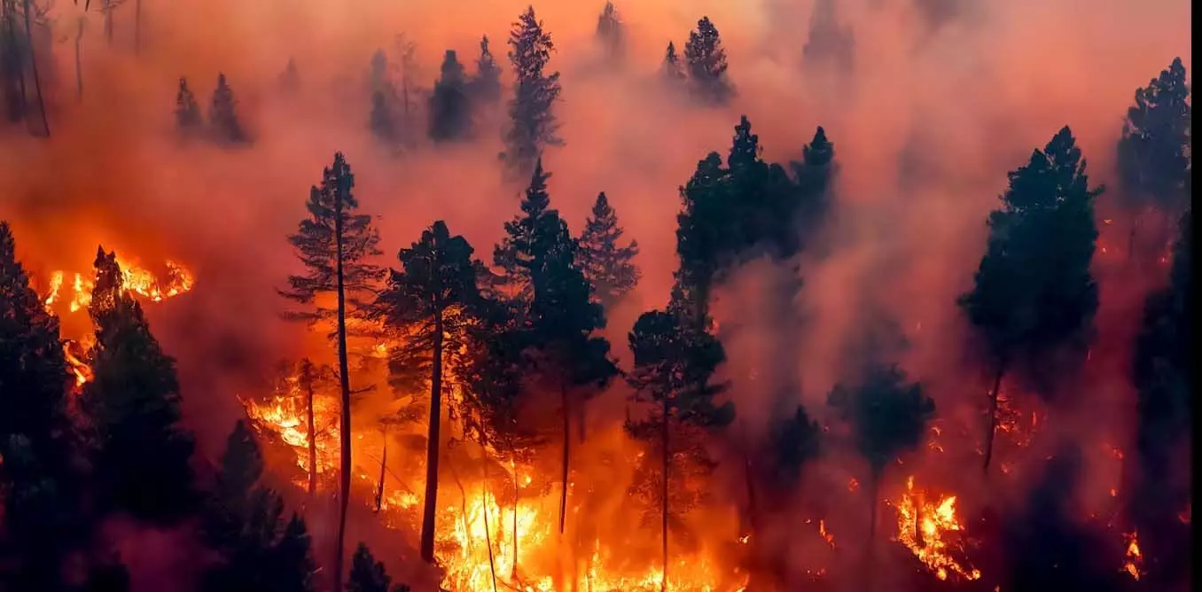 Science : दो दशकों में भीषण जंगल की आग की घटनाएं दोगुनी हो गई