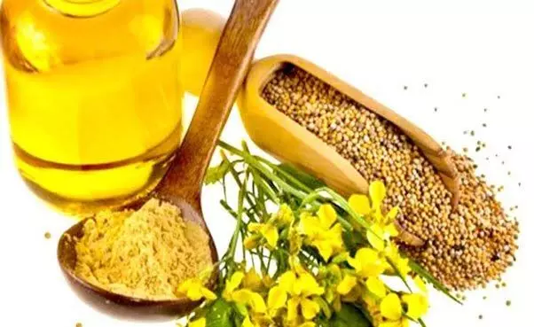mustard oil: सरसों का तेल गुणों का भंडार है जाने