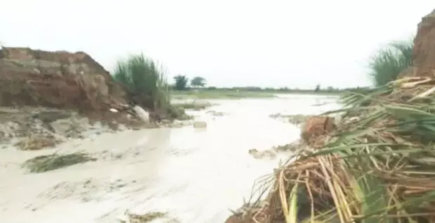 CG NEWS: 40 एकड़ खेत में आया राख युक्त पानी, NTPC की लापरवाही से फसल बर्बाद
