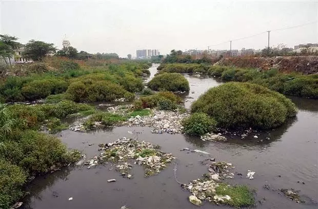 Zirakpur: सिंचाई विभाग ने अभी तक ज़ीरकपुर में सुखना चोई की सफाई शुरू नहीं की