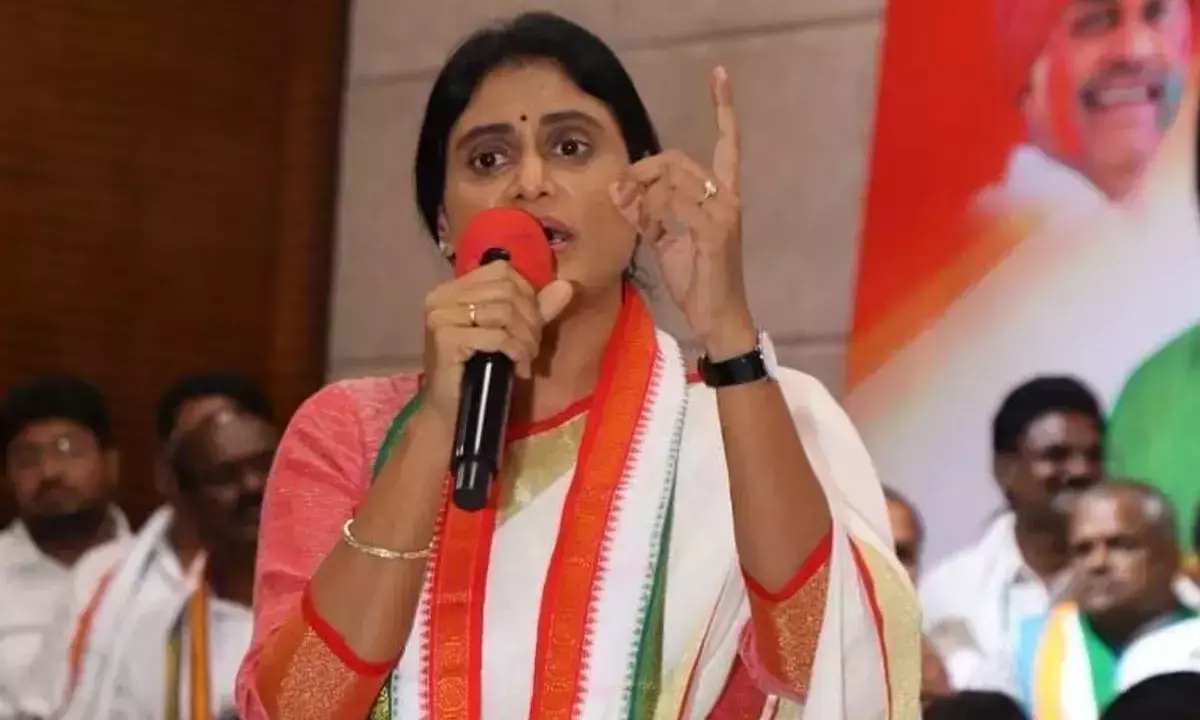 Andhra Pradesh: शर्मिला ने एससीएस पर ‘किंगमेकर’ नायडू की चुप्पी पर सवाल उठाया