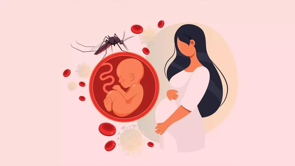 Zika virus :गर्भवती महिलाओं के लिए जानलेवा वायरस