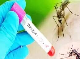 Uttarakhand : बढ़ा डेंगू का खतरा, अस्पतालों को अलर्ट मोड पर रहने के निर्देश