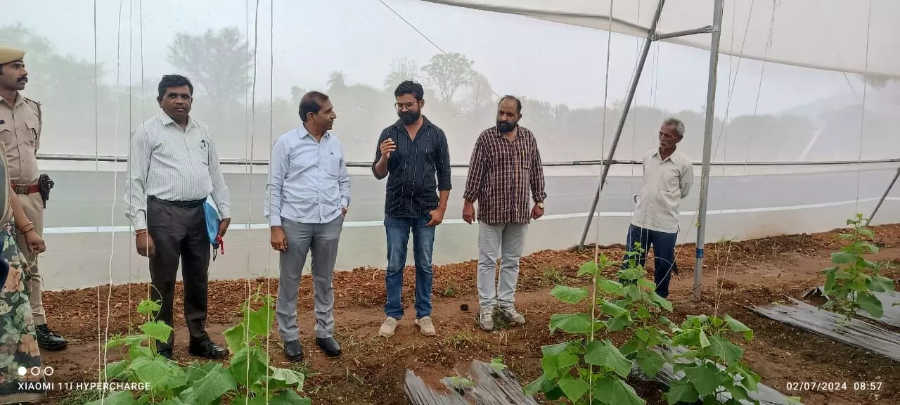 Dungarpur :  डूंगरपुर जिले के दौरे के दूसरे दिन कृषि और पौधरोपण कार्यों का किया निरीक्षण