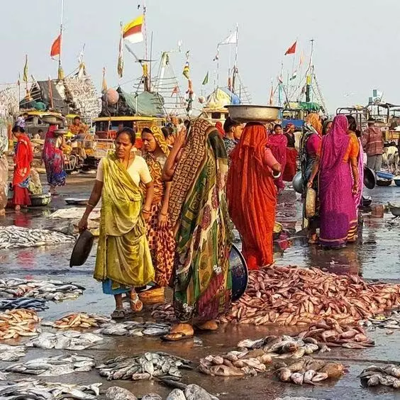 Tamil Nadu: मछली की बाढ़ ने बाजार में कमाई में गिरावट ला दी