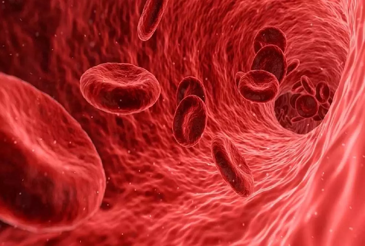 blood loss: खून की कमी से है परेशान तो अपनाये ये नुस्खे