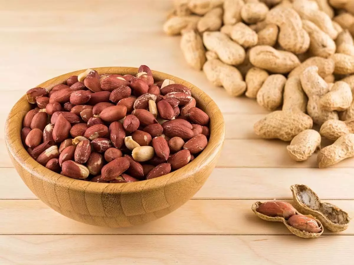 Groundnut: मूंगफली खाने के 5 गुणकारी फायदे जाने