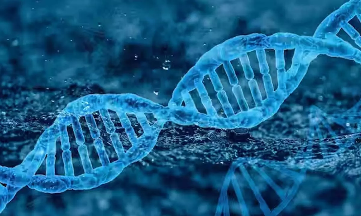 oxygen के कम और डीएनए में परिवर्तन प्रभाव