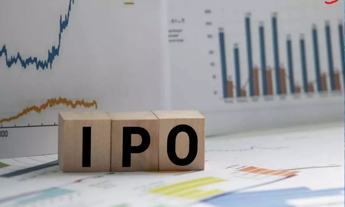 IPO में जुटाएगी कंपनी 125.23 करोड़
