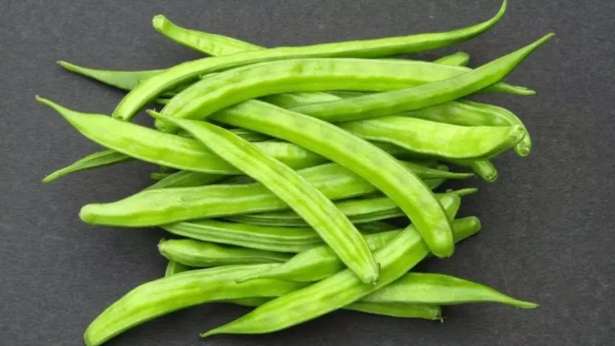 cluster beans:  पाचन तंत्र को नियंत्रित रखे ग्वारफली जाने इसके फायदे