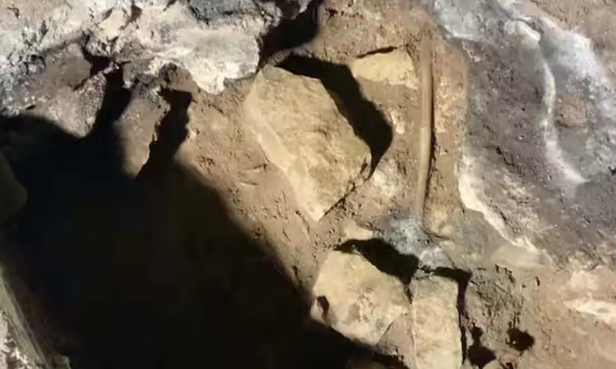 earth पर सबसे पुरानी  क्लॉग्स गुफा