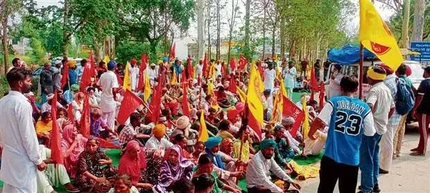 Hoshiarpur: होशियारपुर में सांसद के आवास के बाहर मजदूर यूनियन के सदस्यों ने दिया धरना