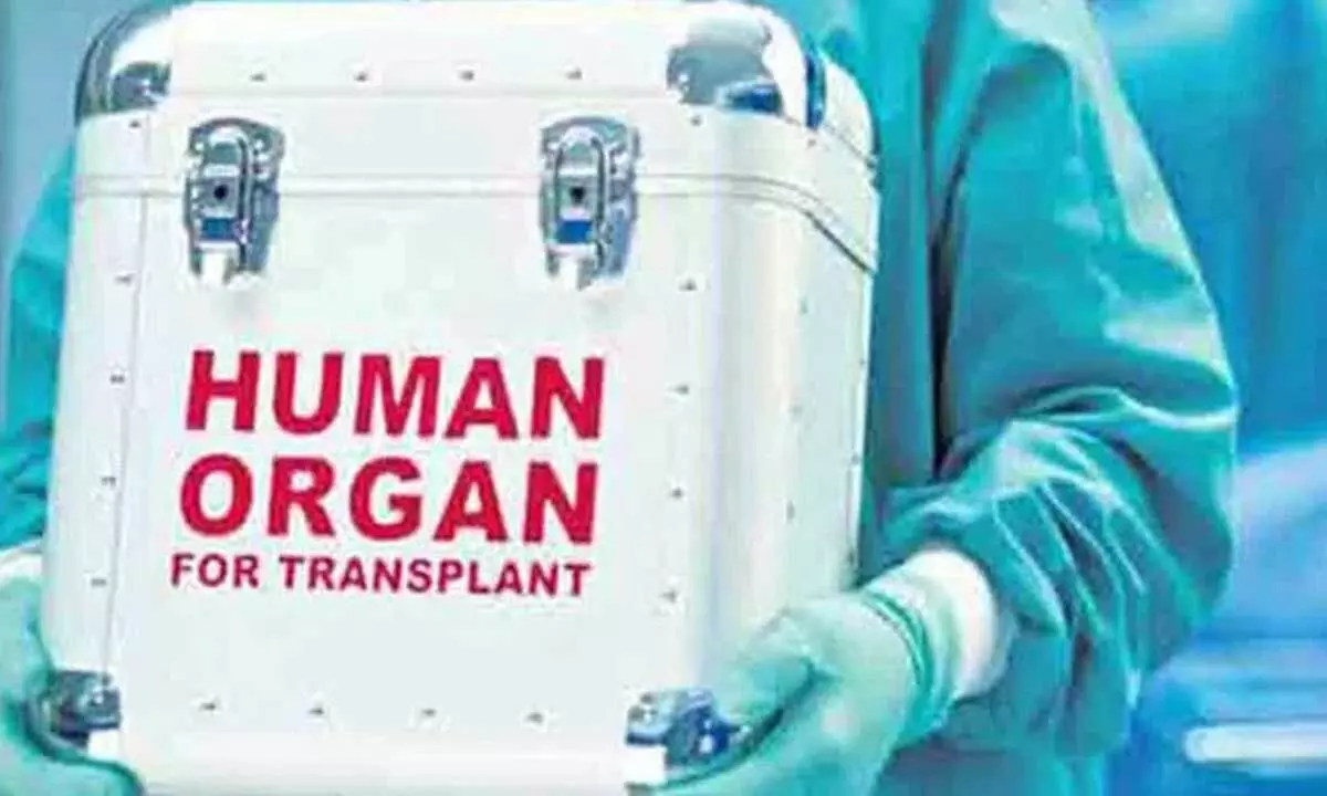 Telangana: अंगदान और प्रत्यारोपण में कॉर्पोरेट अस्पतालों का दबदबा