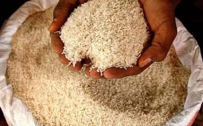 CG BREAKING: किराना दुकान सील, पीडीएस चावल बेचने के आरोप