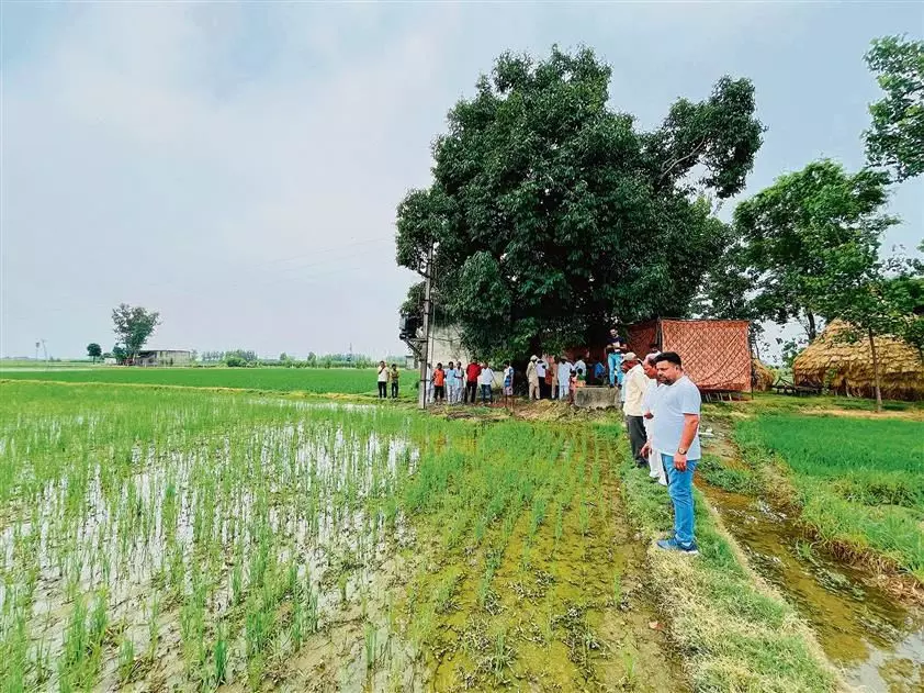 HARYANA : करनाल किसानों को सीधे धान की खेती अपनाने के लिए 16.69 करोड़ रुपये दिए गए