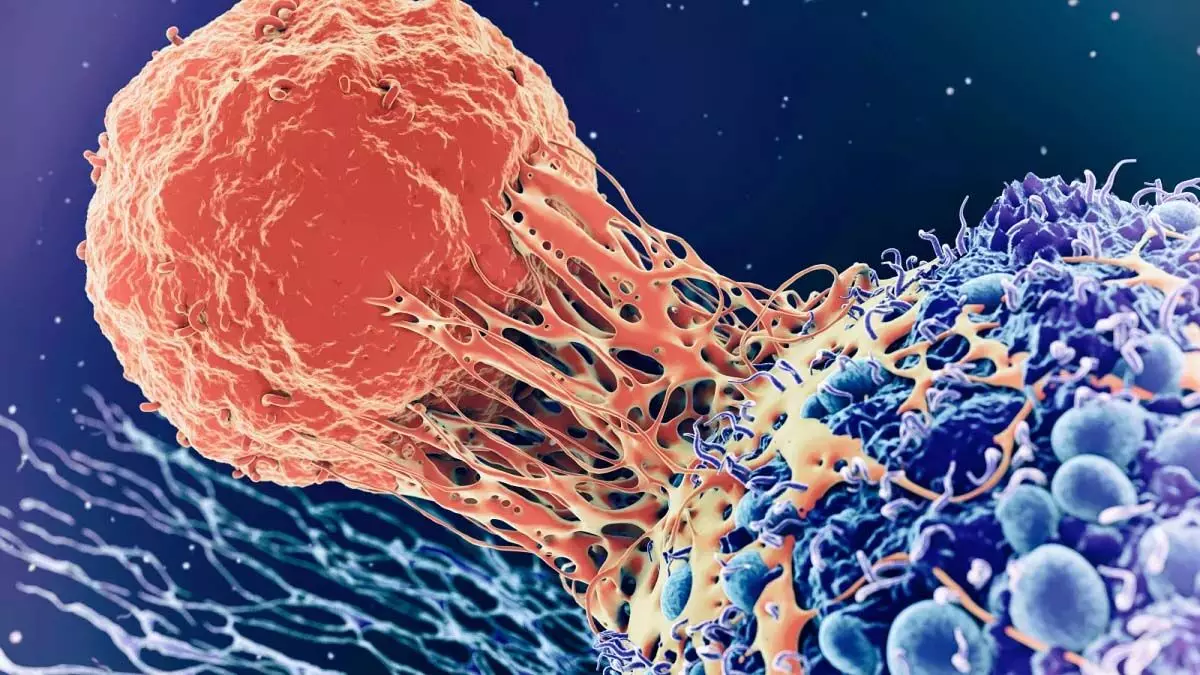 Science : कैंसर का खतरा बुढ़ापे में क्यों हो जाता है कम