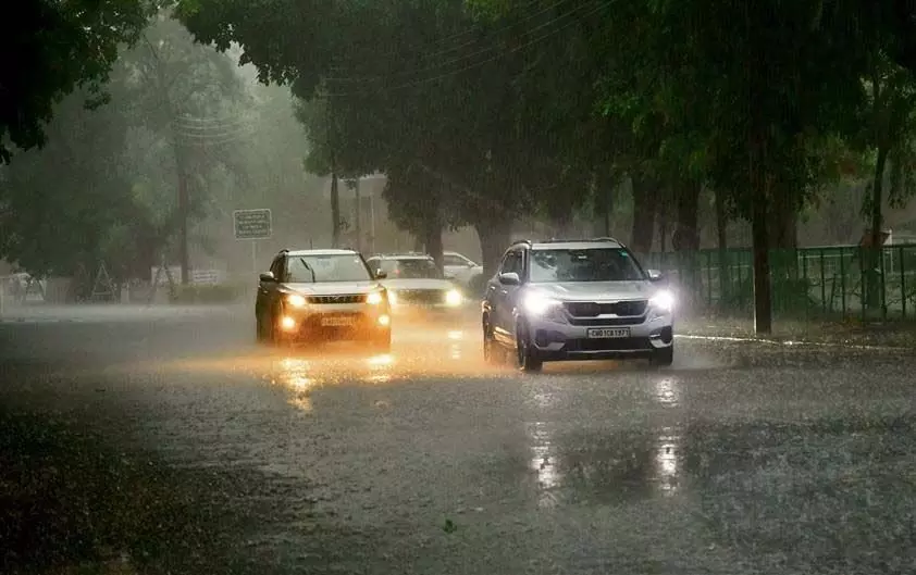 Effect of rain: PGI में पेड़ उखड़कर 3 घरों पर गिरा, दो सड़कें धंस गईं