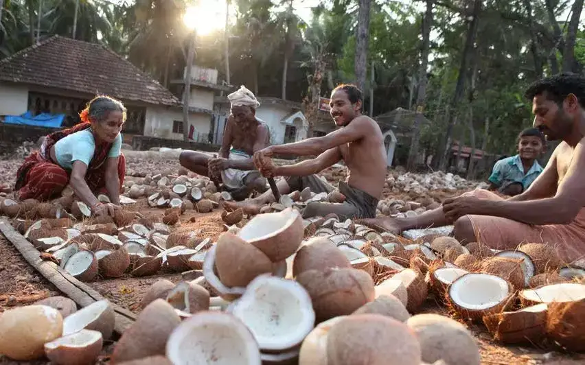 KERALA  ने खोपरा खरीद की समयसीमा बढ़ाने की मांग की