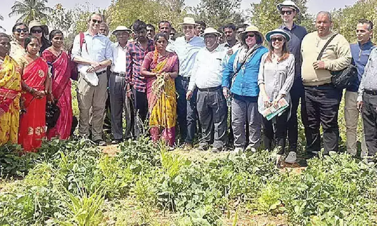 Andhra Pradesh: रयथु साधिकारा संस्था वैश्विक संसाधन संपन्न संगठन के रूप में उभर रही है