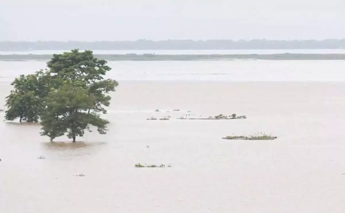 Assam में बाढ़ से 46 लोगों की मौत, स्थिति गंभीर, 16L से ज्यादा लोग प्रभावित