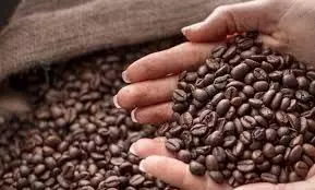 History of Coffee: बेहद दिलचस्प है कॉफी का इतिहास जानिए कैसे ?