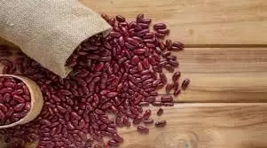 Rajma Benefits: पोषक तत्वों की खान हैं राजमा,जानिए इसके फायदे