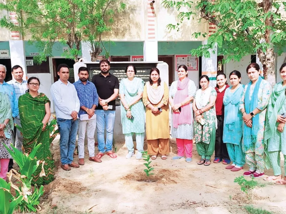Jhunjhunu: बाकरा में राजकीय विद्यालय को 500 पौधे किए भेंट