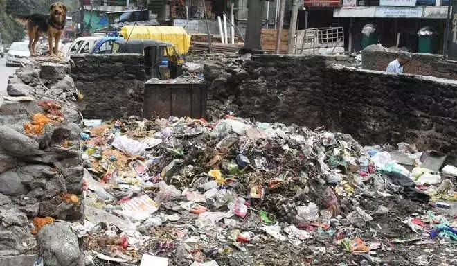 Garbage problem: मोहाली नगर निगम ने निजी फर्म को काम पर रखा