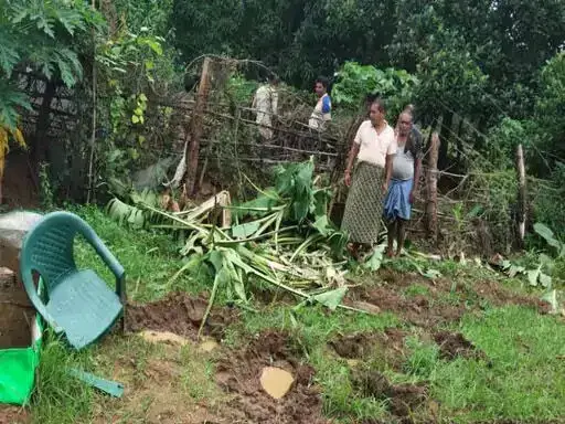 Raigarh में हाथी उत्पात: फसलों को नुकसान पहुंचाया, मकान तोड़ा और बाइक को किया क्षतिग्रस्त