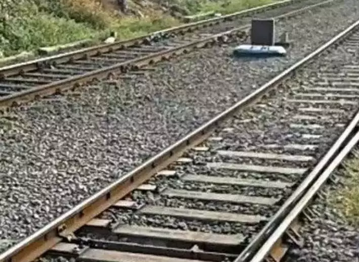 चूहों की वजह से हो सकती है Rail दुर्घटना, खतरा मंडराया