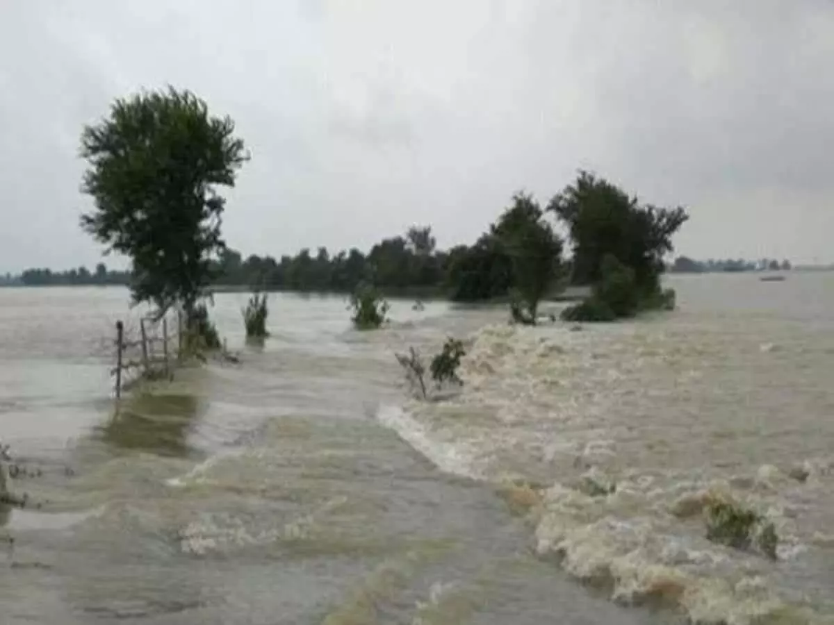 Flood In Bihar: गंडक-कोसी में आया उफान  प्रशासन पूरी तरह अलर्ट