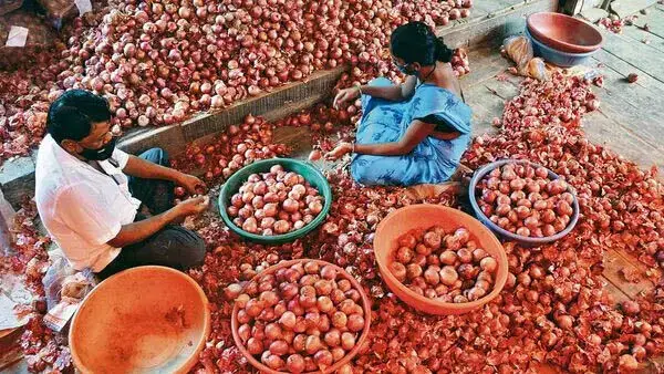 Onion, आलू, टमाटर, और खाद्य पदार्थों की कीमतों में उछाल