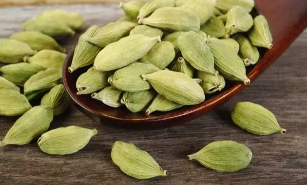 Cardamom: पेट ख़राब की समस्या इलाज़ है इलायची जाने फायदे