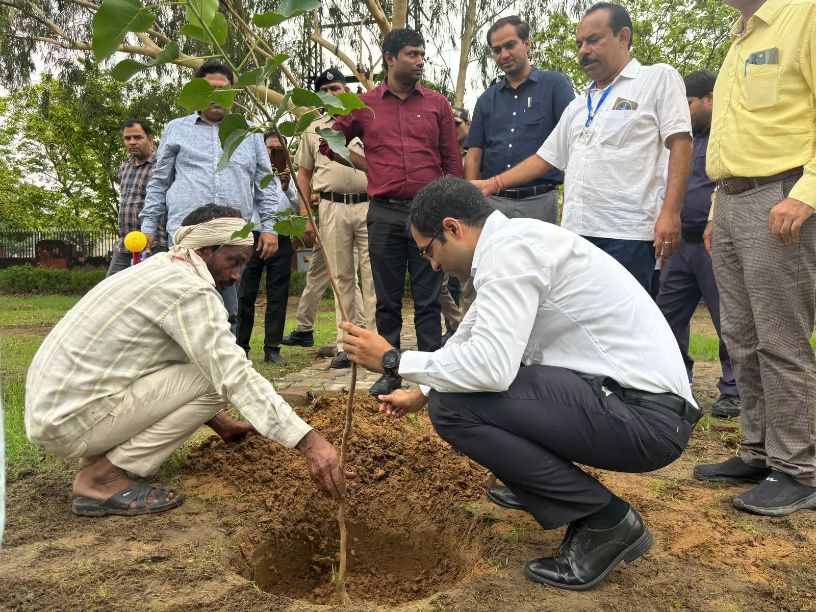 Bharatpur : जिला कलेक्टर ने नेतृत्व में अधिकारी, कर्मचारियों ने रोपे पौधे