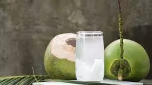 coconut water: नारियल पानी पीने के 6 फायदे