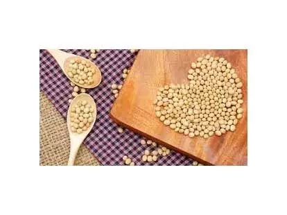 soybeans: शरीर के लिए सोयाबीन फायदेमंद जाने कैसे