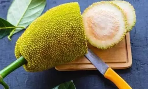 Jackfruit: कटहल खाना सेहत लाभदायक होता है जाने फायदे