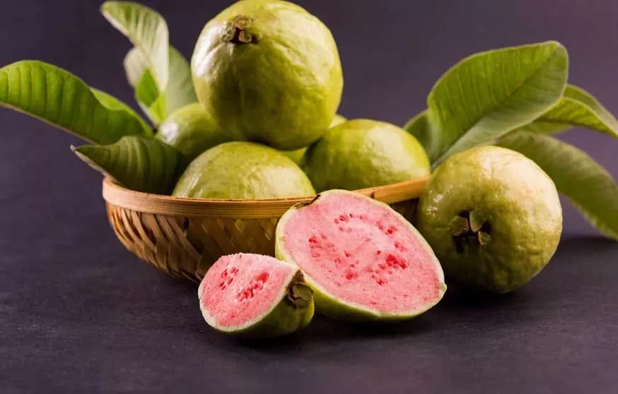 Guava leaves: अमरुद पत्ते के ये फायदे जाने