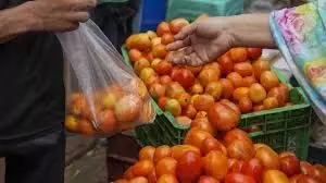 Tomato की कीमतें बढ़ी 70-80 रुपये प्रति किलो पर पहुंची