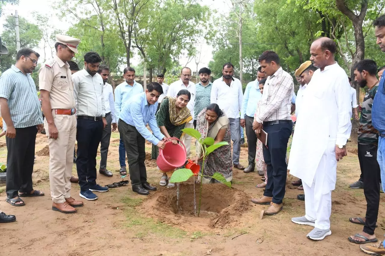 Khairthal-Tijara : जिला कलेक्टर ने किशनगढ़ बास क्षेत्र में किया सघन वृक्षारोपण का शुभारंभ