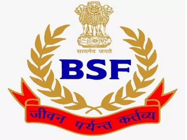 BSF ने मवेशी तस्करी अभियान को विफल किया, दो हिरासत में