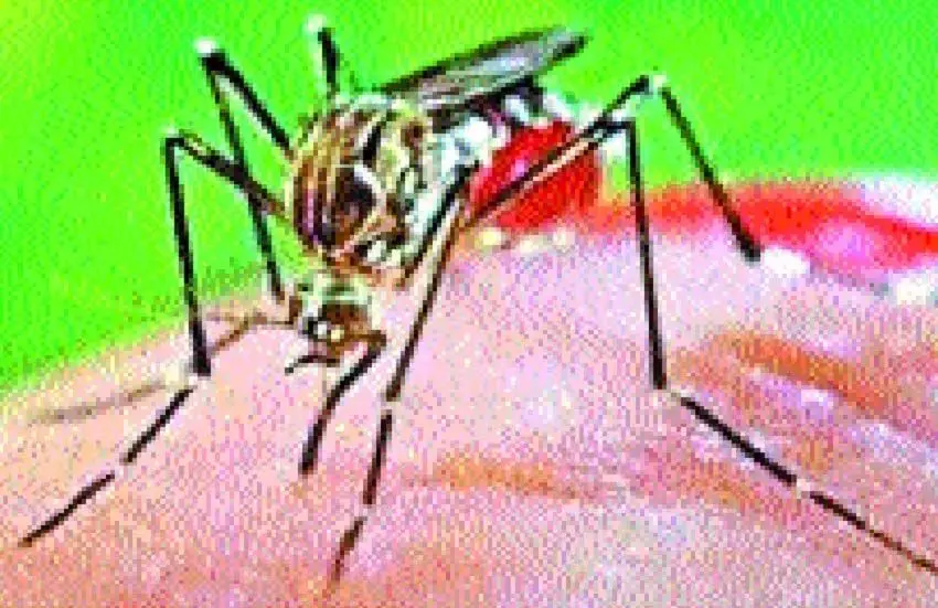 Odisha : ओडिशा में डेंगू का कहर, बलांगीर में 18 लोग प्रभावित और 11 अस्पताल में भर्ती