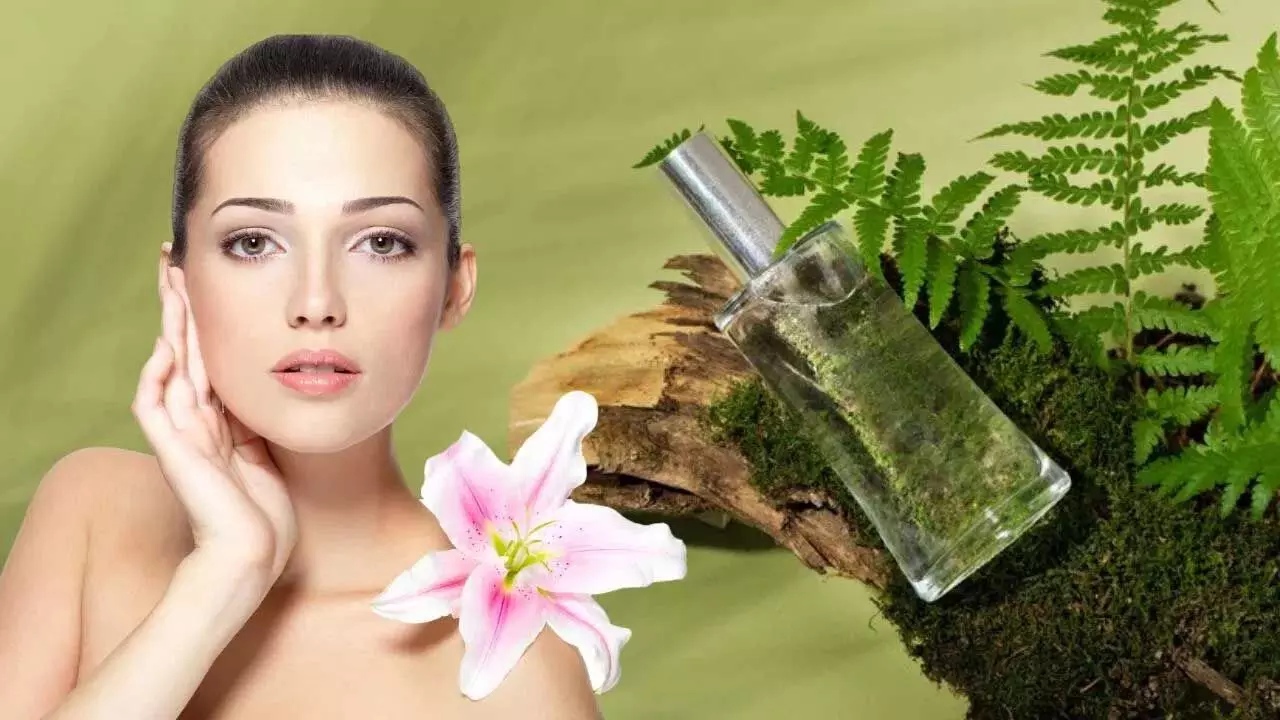 Skin Toner: नैचुरल स्किन टोनर कैसे बनायें जाने