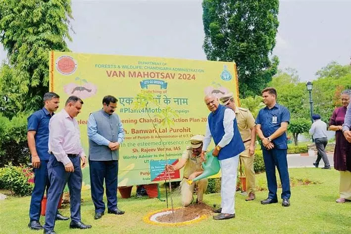 Chandigarh: वन विभाग ने घर-घर जाकर मुफ्त पौधे उपलब्ध कराने का अभियान शुरू
