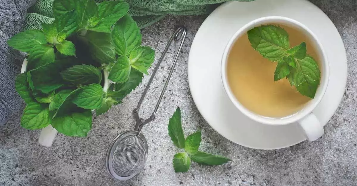 Mint tea: पाचन तंत्र के लिए फायदेमंद पुदीने की चाय जाने 6 फायदे