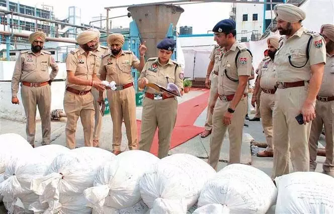 Ludhiana: नशीले पदार्थों के खिलाफ कार्रवाई तेज की, 3,508 किलोग्राम प्रतिबंधित पदार्थ बरामद