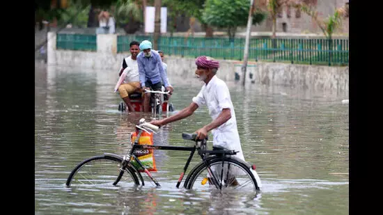 दक्षिण मालवा में बारिश से Water logging