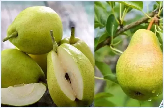 Pear:  मानसून में मिलने वाले इस फल को खाने से सेहत को मिलते हैं,  कमाल के फायदे