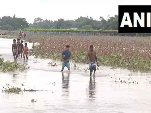 Assam बाढ़ ने पिछले 24 घंटों में 8 और लोगों की ले ली जान